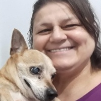 Chihuahua, Köpek  Kraker fotoğrafı