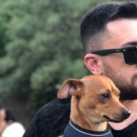 Chihuahua, Köpek  Umut fotoğrafı