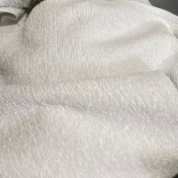 Tekir Kedi, Kedi  Duman fotoğrafı