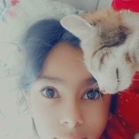 Tekir Kedi, Kedi  Lola fotoğrafı