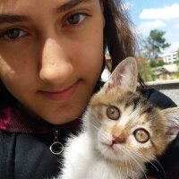 Tekir Kedi, Kedi  Efe fotoğrafı