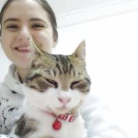 Tekir Kedi, Kedi  rıfkı fotoğrafı