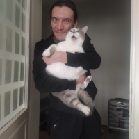 Tekir Kedi, Kedi  Korkuttin fotoğrafı