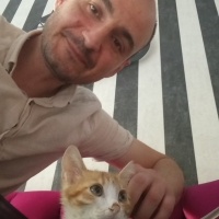 Sarman, Kedi  Anne'm fotoğrafı