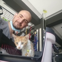 Sarman, Kedi  Anne'm fotoğrafı