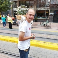 Sarman, Kedi  Anne'm fotoğrafı
