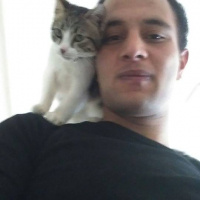 Tekir Kedi, Kedi  RIFKI  fotoğrafı