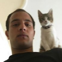 Tekir Kedi, Kedi  RIFKI  fotoğrafı