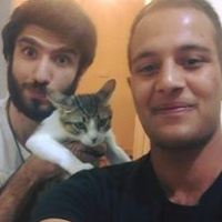 Tekir Kedi, Kedi  RIFKI  fotoğrafı