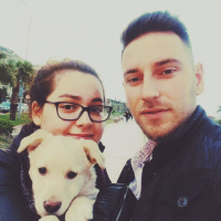 Sokö (Sokak Köpeği), Köpek  eolo fotoğrafı