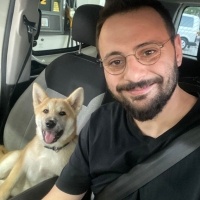 Akita İnu, Köpek  Teddy fotoğrafı