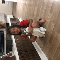Tekir Kedi, Kedi  Gölge fotoğrafı