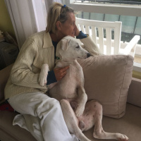 Sokö (Sokak Köpeği), Köpek  İsimsiz fotoğrafı