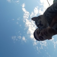 Tekir Kedi, Kedi  Skrt fotoğrafı