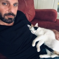 Tekir Kedi, Kedi  Boncuk fotoğrafı