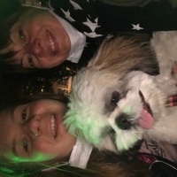Shih Tzu, Köpek  Moki fotoğrafı