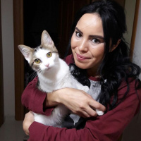 Tekir Kedi, Kedi  Fındık fotoğrafı