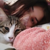 Tekir Kedi, Kedi  Cesur fotoğrafı