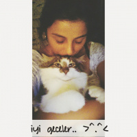 Tekir Kedi, Kedi  Patik fotoğrafı