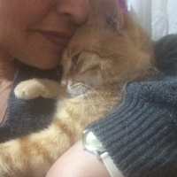 Soke, Kedi  Bızdık fotoğrafı