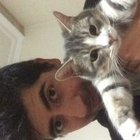 Tekir Kedi, Kedi  Rengar fotoğrafı