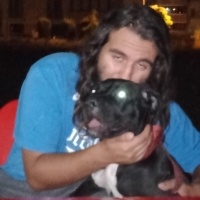Cane Corso Italiano, Köpek  Marj Jane fotoğrafı