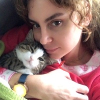 Tekir Kedi, Kedi  bihter fotoğrafı
