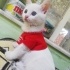Bulut