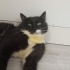 Boncuk