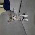 Pamuk