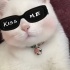 Pamuk