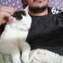 pamuk