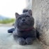 Duman