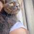 Duman
