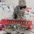 Duman
