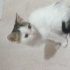 Kuki