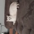 Pamuk