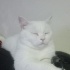 PaMuK