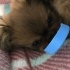 Charlie