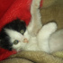 YUMAK