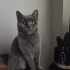 Mia