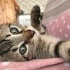 Duman