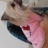 Kuko