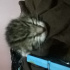 pamuk