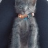 Duman