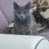 Mia