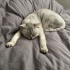 Mia