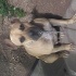 UGUR