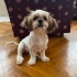 Murph