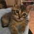 Mia